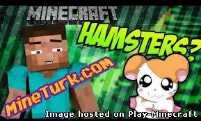 Invincible Hamster [1.5.2]