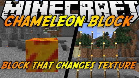 Chameleon Blocks [1.7.2]