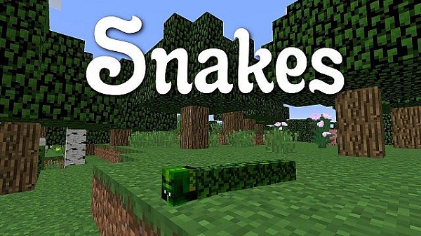 Snakes